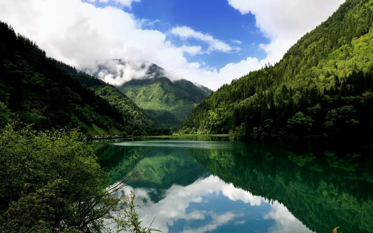 高效高端